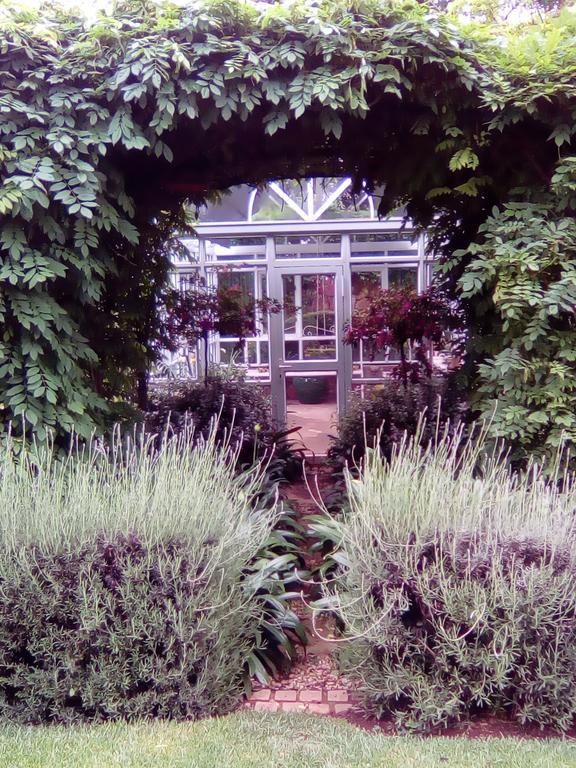 Bed and Breakfast Doveton House Johannesburg Exteriér fotografie